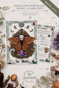 Grimoire Paket - Die Motte
